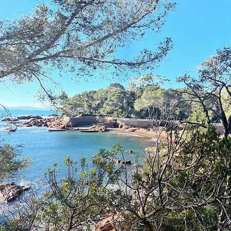 2 Pieces Saint Raphael Renove, Classe 4 Etoiles, 100 M Plages, Piscine, Tennis, Parc, Terrasse, Jardin Privatif 外观 照片