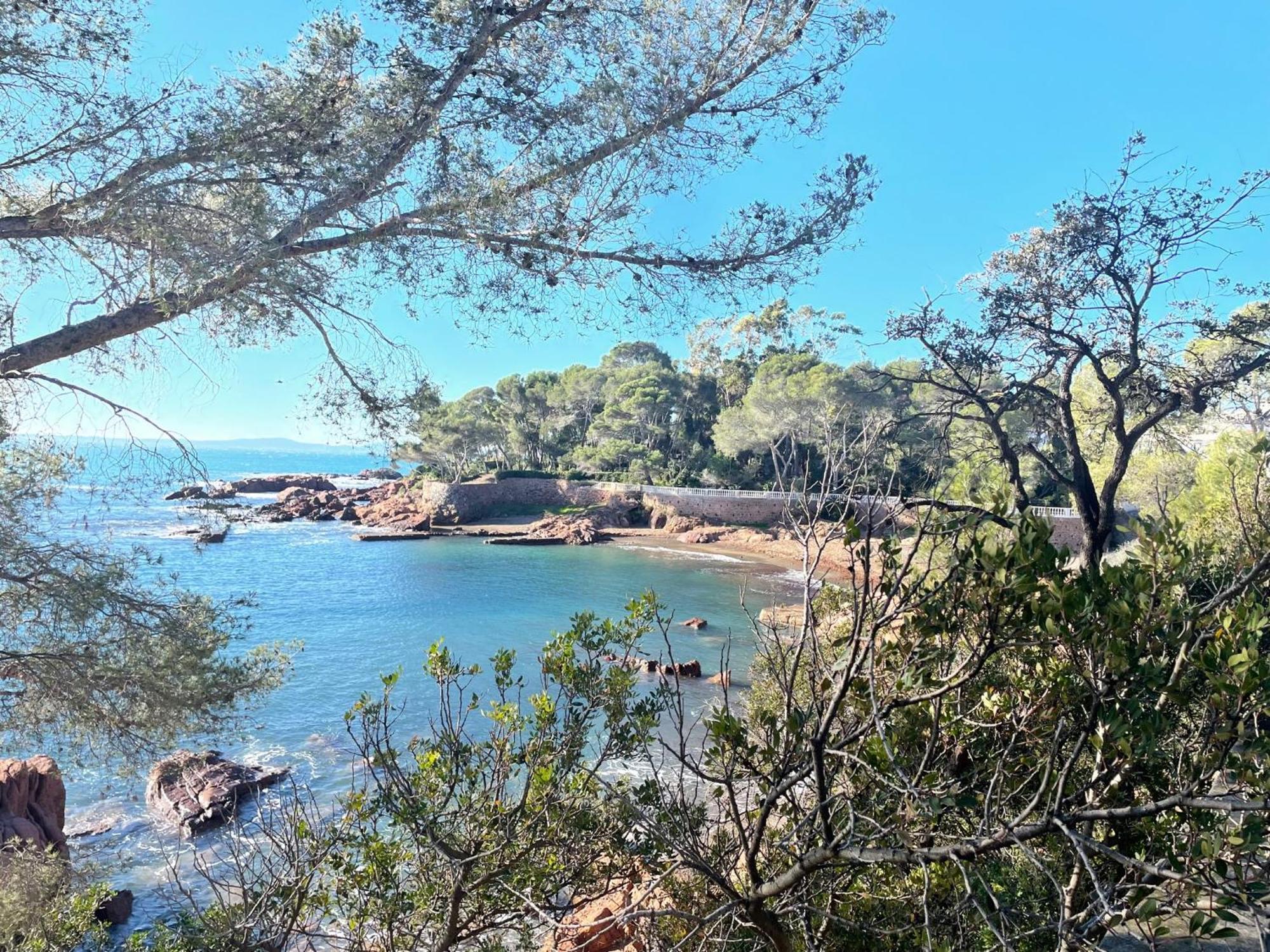 2 Pieces Saint Raphael Renove, Classe 4 Etoiles, 100 M Plages, Piscine, Tennis, Parc, Terrasse, Jardin Privatif 外观 照片