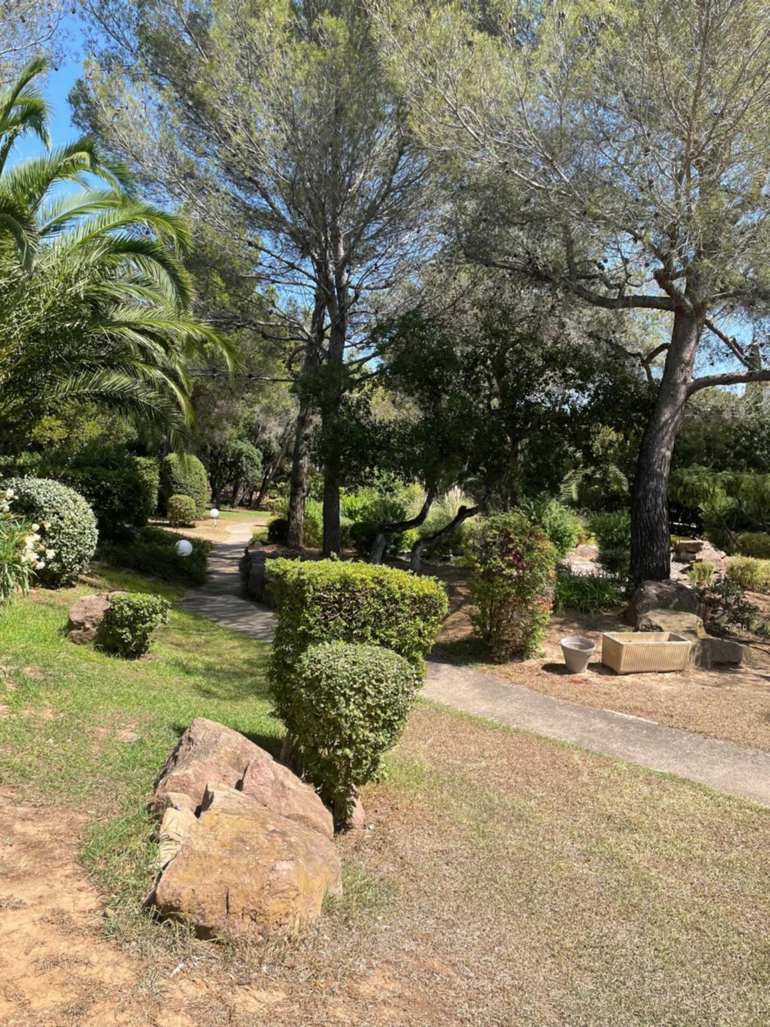 2 Pieces Saint Raphael Renove, Classe 4 Etoiles, 100 M Plages, Piscine, Tennis, Parc, Terrasse, Jardin Privatif 外观 照片